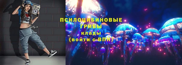 метамфетамин Алексеевка