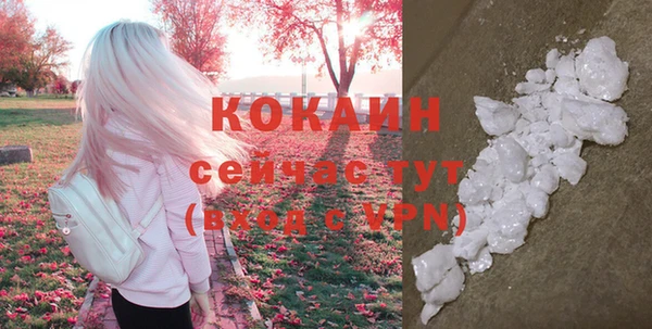 шишки Остров