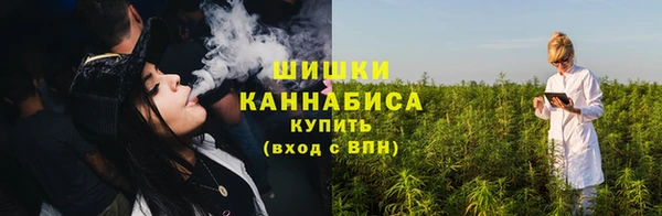 шишки Алзамай