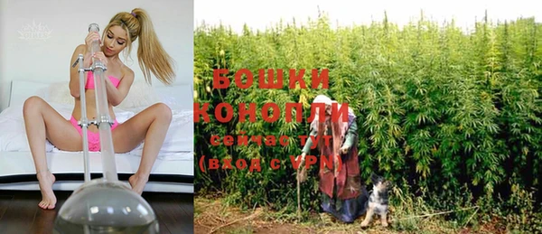 шишки Алзамай