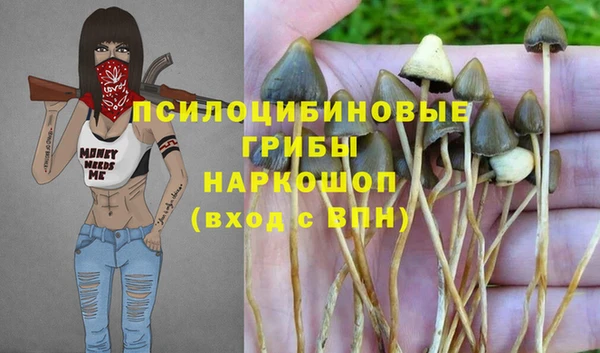 МДПВ Алексин