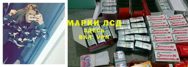 шишки Алзамай