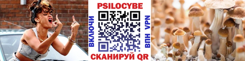 Галлюциногенные грибы Cubensis закладка Талдом